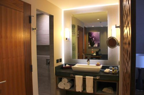 a bathroom with a sink and a mirror at Fiesta Americana Viaducto Aeropuerto in Mexico City