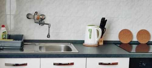 eine Küchentheke mit einer Spüle und einem Wasserhahn in der Unterkunft Apartman Marija in Poreč
