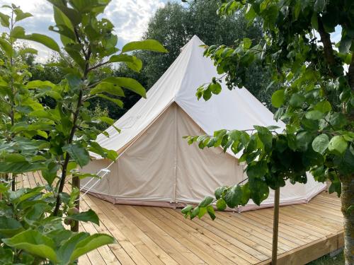 Dalby的住宿－Hesselgaard Glamping，木制甲板上的白色帐篷