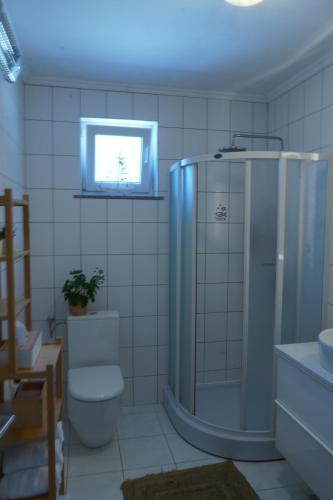 a bathroom with a shower and a toilet and a window at House KID in Bribir