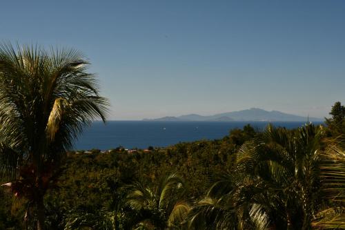 a view of the ocean and palm trees at Triple Room Bed and Breakfast main House in Guillet