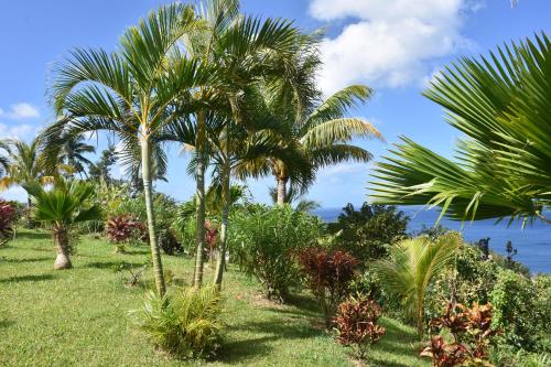 a group of palm trees on a grass field at Triple Room Bed and Breakfast main House in Guillet