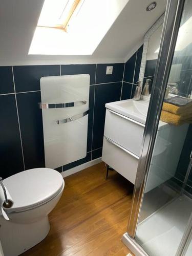 une salle de bain avec toilettes et lavabo dans l'établissement Ty Glaz, à Quimper