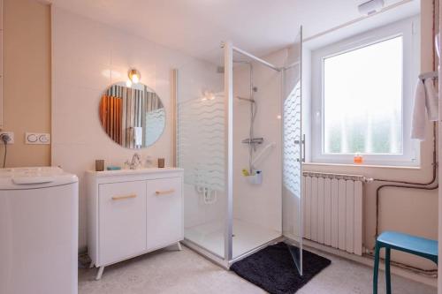 a bathroom with a shower and a sink and a mirror at La maison du lac du Grobon in Châtillon-sur-Chalaronne