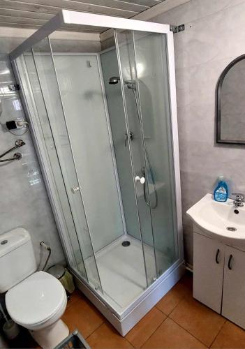 a shower in a bathroom with a toilet and a sink at Mały domek w centrum Rowów in Rowy