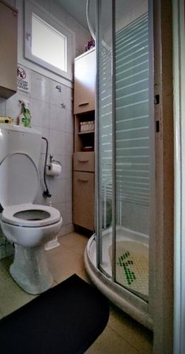 a small bathroom with a toilet and a shower at Jenny's House in Yerakiní