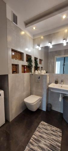 a bathroom with a toilet and a sink at Apartament Przymorze in Gdańsk