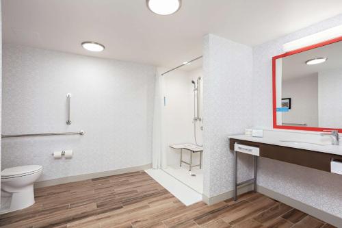 金斯波特的住宿－金斯斯波特希爾頓恆庭酒店，一间带卫生间、水槽和镜子的浴室
