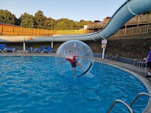 Πισίνα στο ή κοντά στο Conkers Lodge for 6 with Hot Tub & Secluded Decking - Spa Resort in Devon