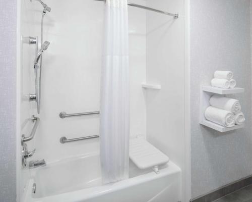 Ένα μπάνιο στο Hampton Inn & Suites Lubbock
