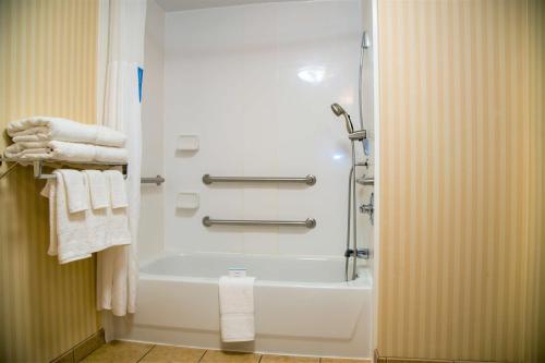 y baño con bañera, ducha y toallas. en Hampton Inn Lewisburg en Lewisburg