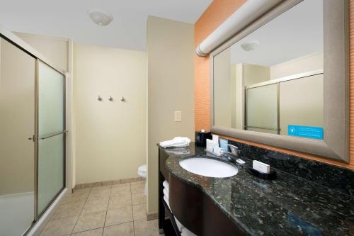 W łazience znajduje się umywalka i lustro. w obiekcie Hampton Inn Lenoir City w mieście Lenoir City