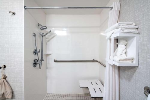 Ένα μπάνιο στο Hampton Inn & Suites West Little Rock