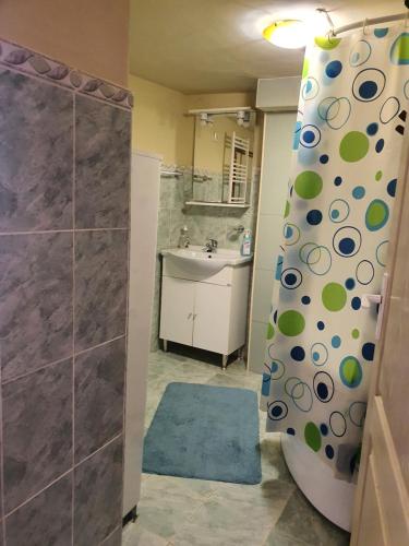 a bathroom with a shower and a sink at Carissa House in Braşov