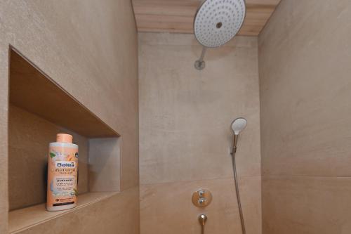 a shower with a shower head in a bathroom at AuszeitHof Vögel in Sulzberg