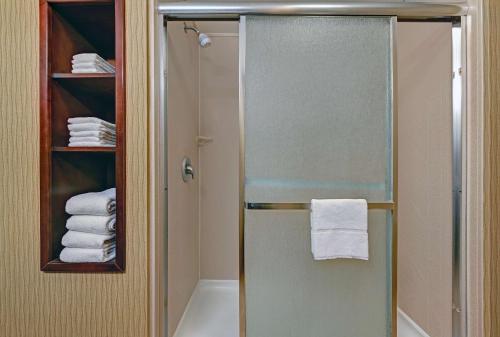 a shower with a glass door in a bathroom at Hampton Inn Deming in Deming