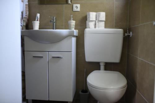 a bathroom with a toilet and a sink at Matanovi dvori in Livno