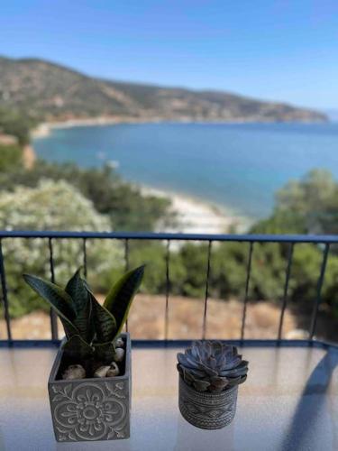 Φυσικό τοπίο κοντά σε αυτό το διαμέρισμα