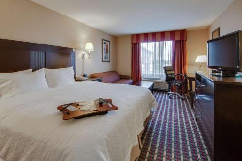 Habitación de hotel con cama grande y TV de pantalla plana. en Hampton Inn & Suites Las Cruces I-25, en Las Cruces