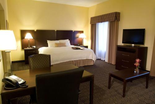 a hotel room with a bed and a television at Hampton Inn & Suites Orlando-John Young Parkway/South Park in Orlando