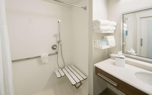 Bilik mandi di Hampton Inn Lakeland