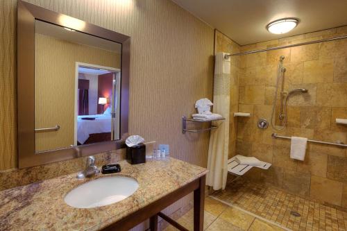 a bathroom with a sink and a shower at Hampton Inn & Suites McAllen in McAllen