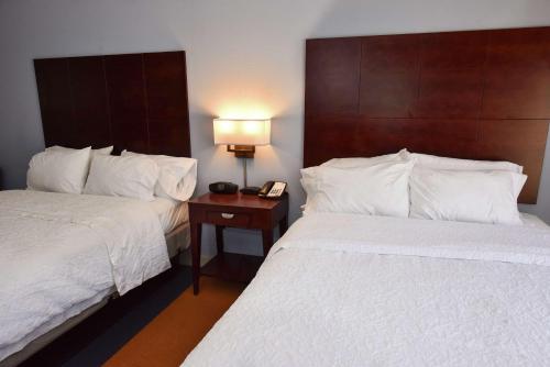 Postel nebo postele na pokoji v ubytování Hampton Inn Alexander City