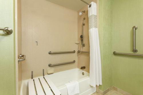 Koupelna v ubytování Hampton Inn & Suites Prattville