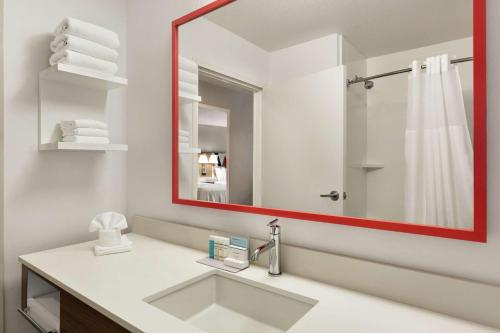 a bathroom with a sink and a mirror at Hampton Inn Kansas City Blue Springs in Blue Springs