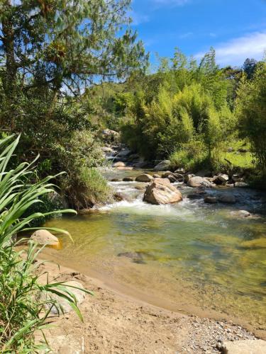 a stream of water with rocks and trees at Hotel Concepción Antioquia in Concepción