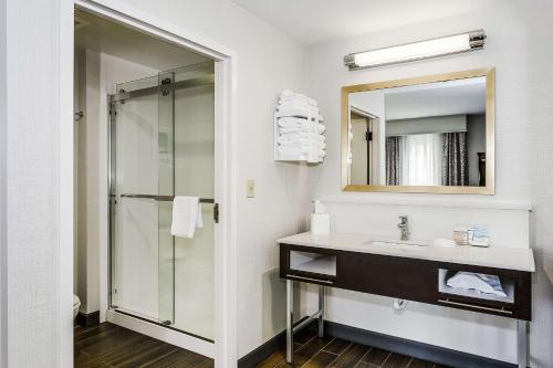 a bathroom with a sink and a shower at Hampton Inn & Suites Mobile - Downtown Historic District in Mobile