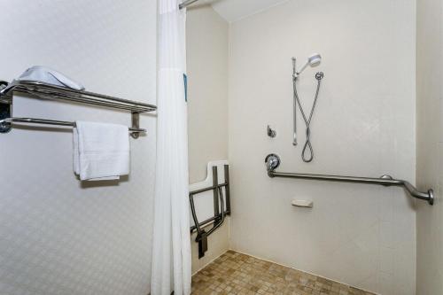 a bathroom with a shower and a shower curtain at Hampton Inn & Suites Mobile - Downtown Historic District in Mobile