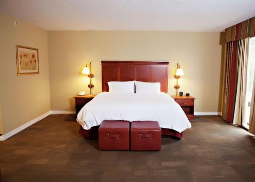 a bedroom with a bed with two tables and two lamps at Hampton Inn Martin in Martin