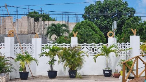a white fence with a bunch of palm trees at Little Savoy Guest House new in Runaway Bay