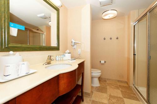 a bathroom with a sink and a toilet and a mirror at Hampton Inn Montrose in Montrose