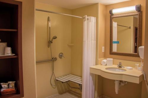 a bathroom with a shower and a sink and a mirror at Hampton Inn Murphy in Murphy