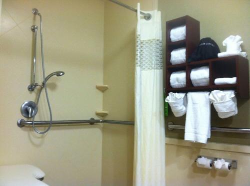 y baño con cortina de ducha y toallas. en Hampton Inn New Bern, en New Bern