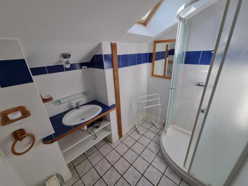 ein Bad mit einem Waschbecken und einer Dusche in der Unterkunft Tanzanite - 6 couchages in Archigny