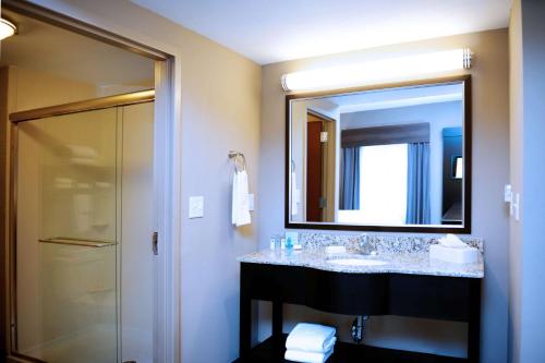 een badkamer met een wastafel, een spiegel en een douche bij Hampton Inn Crystal River in Crystal River