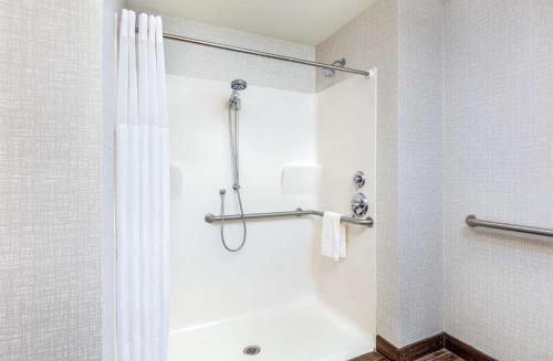 Koupelna v ubytování Newly Renovated Hampton Inn Omaha West Lakeside