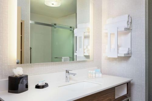 Koupelna v ubytování Newly Renovated Hampton Inn Omaha West Lakeside