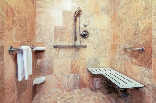 a shower with a bench in a bathroom at Hampton Inn Oxford/Miami University Area in Oxford