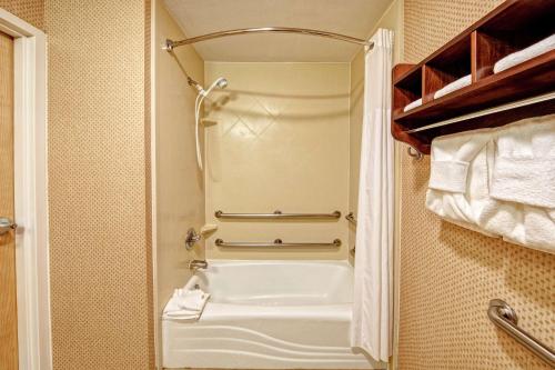 a small bathroom with a shower and a bath tub at Hampton Inn & Suites Pigeon Forge On The Parkway in Pigeon Forge