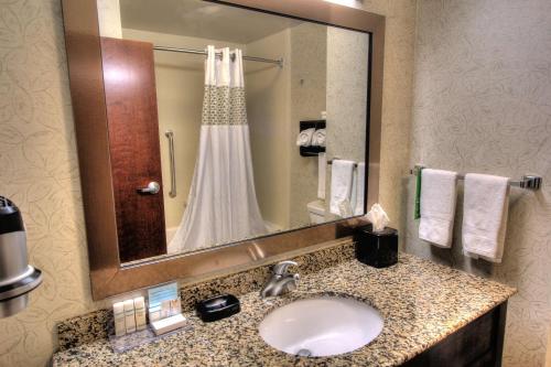 La salle de bains est pourvue d'un lavabo, d'un miroir et d'une douche. dans l'établissement Hampton Inn Pigeon Forge, à Pigeon Forge