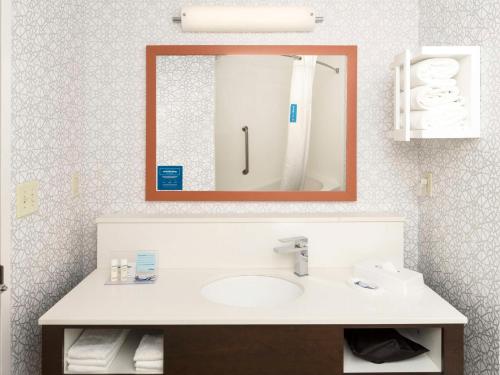 a bathroom with a sink and a mirror at Hampton Inn Greenville in Greenville