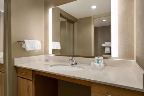 ein Badezimmer mit einem Waschbecken und einem großen Spiegel in der Unterkunft Homewood Suites University City Philadelphia in Philadelphia