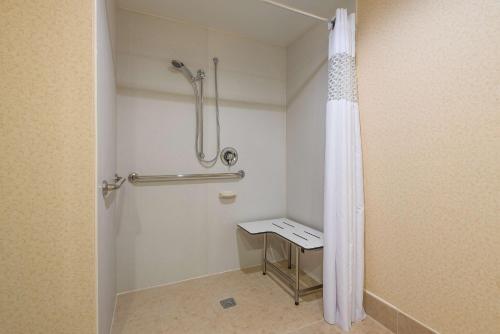 uma casa de banho com chuveiro e cortina de chuveiro em Hampton Inn Parkersburg/Mineral Wells em Mineralwells