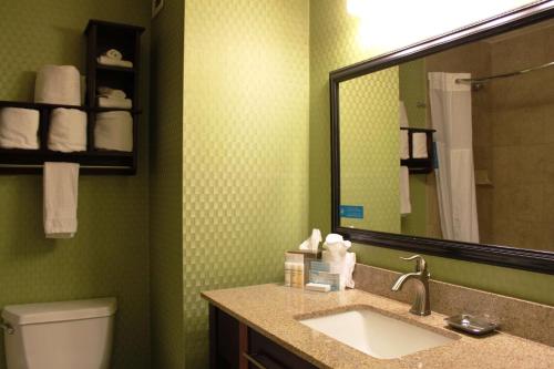 a bathroom with a sink and a mirror and a toilet at Hampton Inn Perry in Perry