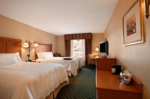 a hotel room with two beds and a window at Hampton Inn Canon City in Canon City