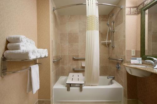 a bathroom with a shower and a sink and a tub at Hampton Inn Canon City in Canon City